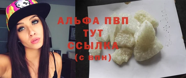 прущие грибы Кодинск